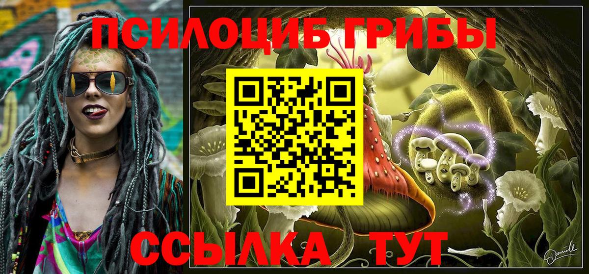 Галлюциногенные грибы прущие грибы  Вход с VPN  Северск 