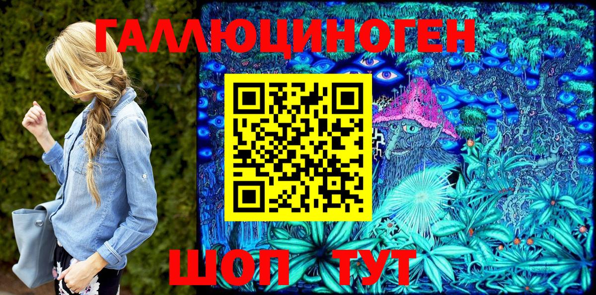 Галлюциногенные грибы Psilocybine cubensis Северск